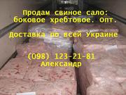 Продам сало по Украине. Продам свиное сало оптом Харьков, Донецк Львов