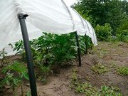 Парники «Подснежник Украина»,  длиной 6 метров,  покрытие агроволокно,  д