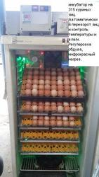 Продам инкубатор