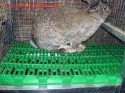 Пластиковый настил для кроликов