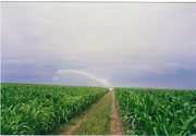 продам и производим самоходние машины для полива
